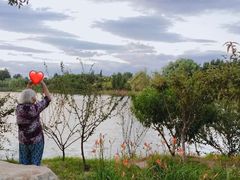 -东郊湿地公园