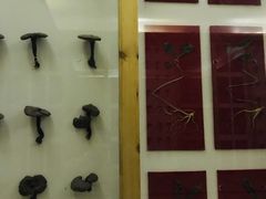 -纽斯洗浴SPA(三墩店)