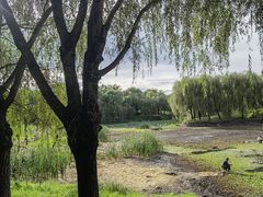 -东坝千亩湖公园