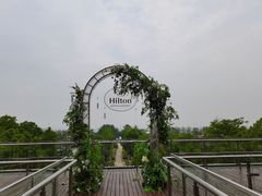 -光谷希尔顿酒店-厨意意大利餐厅(鸿雁路店)
