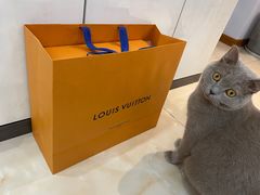 -LV路易威登(国际广场店)
