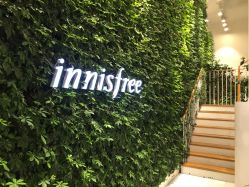 -悦诗风吟innisfree