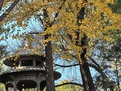 -玲珑塔公园