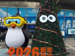 -重庆欢乐海底世界