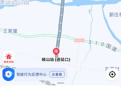 -小崔家臊子面(蔡家坡总店)