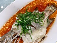 清蒸桂花鱼-顺风山庄(水濂山店)