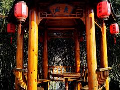 -合肥滨湖国家森林公园