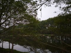 -西溪南古村落