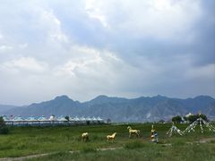 -敕勒川草原文化旅游区