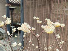 -凤来栖·净庭院·火锅(欧尚店)