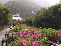 -梧桐山风景名胜区