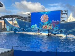 -上海海昌海洋公园