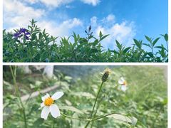 -清溪森林公园