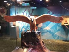 -绮丽珊瑚(台北101旗舰门市店)