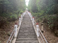 -江西阳明山国家森林公园