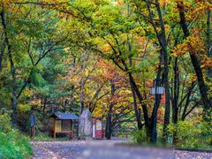 -洛阳白云山景区