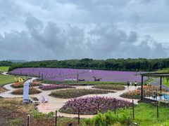 -济州森林小火车生态公园