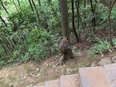 -黔灵山公园