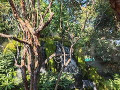 -Chom Cafe and Restaurant