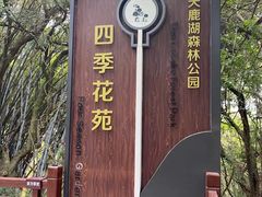 -天鹿湖森林公园