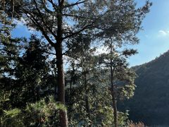 -鼓岭旅游度假区