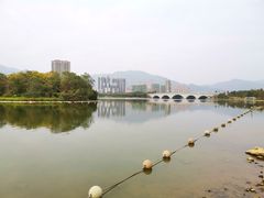 -飞来湖湿地公园