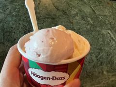 -牛New寿喜烧(金鹰世界店)
