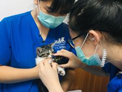 -宠福鑫动物医院·动物疾病诊疗中心(天通苑店)