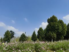 -洋湖国家湿地公园