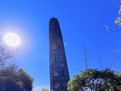 -上海佘山国家森林公园天马山园