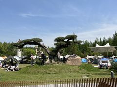 -东平国家森林公园