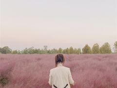 -映月湖中央公园