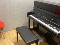-珠江钢琴艺术中心(文一路店)