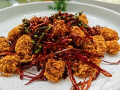 -丁老爷子苏香圆