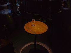 -武汉知音号