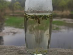 -西湖风景区-江洋畈生态公园