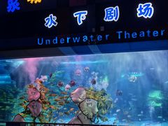 -泉城欧乐堡海洋极地世界