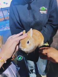 -Zoolung Zoolung动物主题公园(海信广场店)