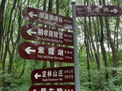 -紫霞湖公园