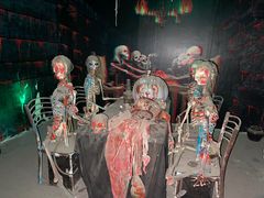 -大连海昌发现王国主题公园