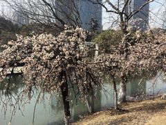 -白塘生态植物园