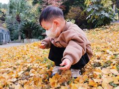 -肯德基(蓝谷地DT店)