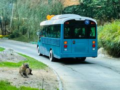 -北京野生动物园