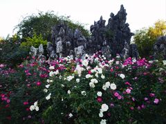 -人民公园(罗湖区)