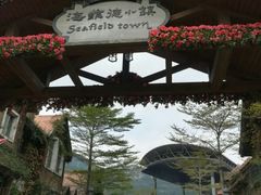 海菲德小镇-深圳东部华侨城茵特拉根酒店