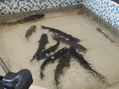 -锅老头海鲜铁锅炖