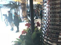 -南宫温泉水世界