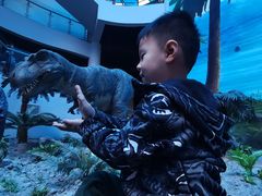 -辽宁古生物博物馆