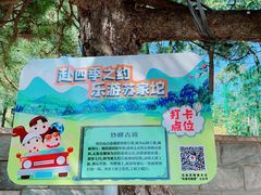 -阳台山自然风景区