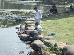 -蠡湖大桥公园